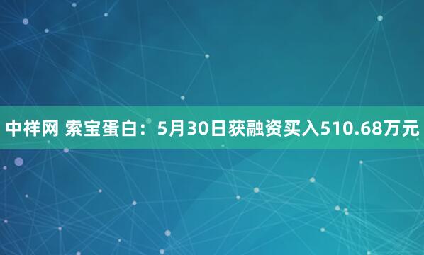 中祥网 索宝蛋白：5月30日获融资买入510.68万元