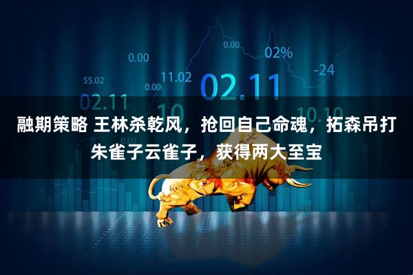融期策略 王林杀乾风，抢回自己命魂，拓森吊打朱雀子云雀子，获得两大至宝